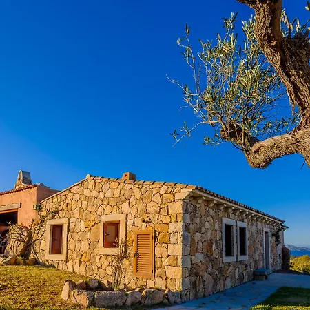 Villa Sardinia Family - Letizia With Private Pool And Seaview